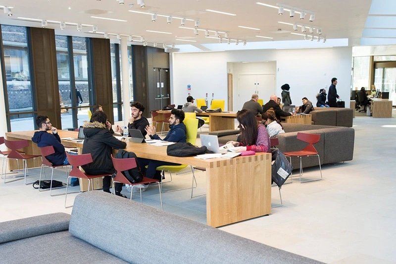 City, University of London  Case Studies  SEAtS Software